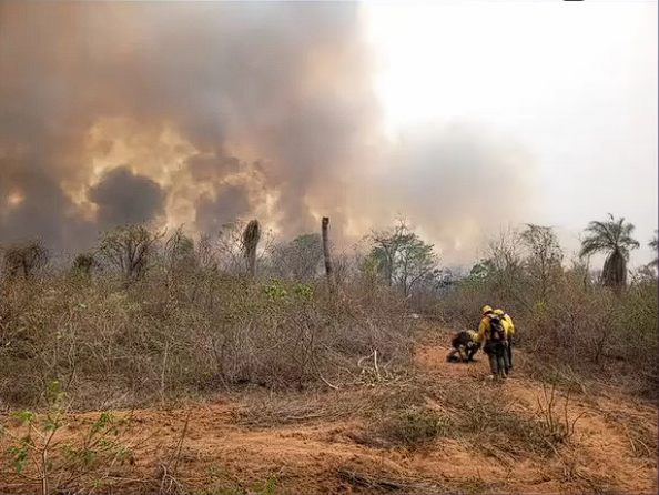 Chaco: Fiscalía convoca a propietarios de estancias donde iniciaron incendios