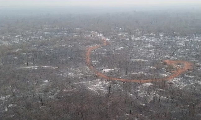 Controlan incendio forestal en Chovoreca tras 20 días de combate