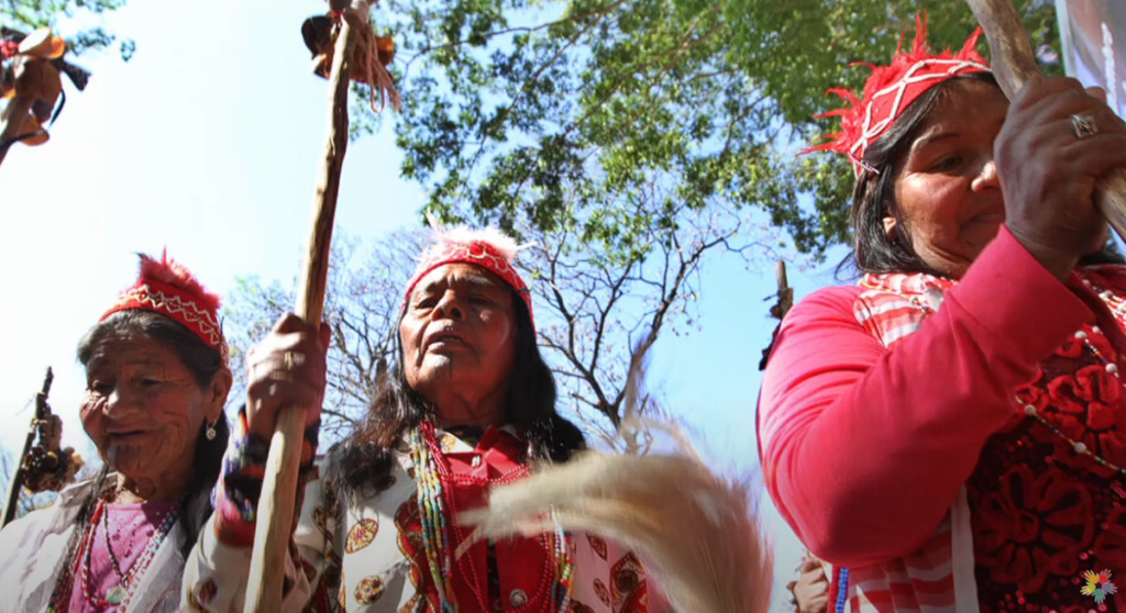 Cinco propuestas de mujeres indígenas para enfrentar el cambio climático