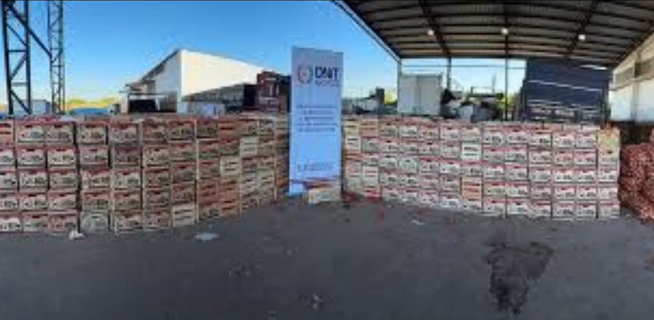 Decomisan cerca de 15 toneladas de productos frutihortícolas ilegales