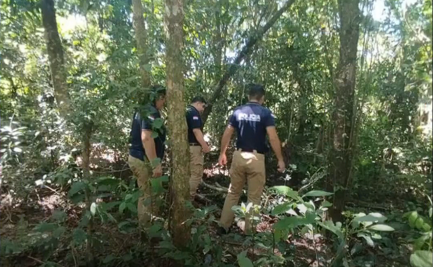 Hombre fallece en trágico accidente tras ser aplastado por un árbol