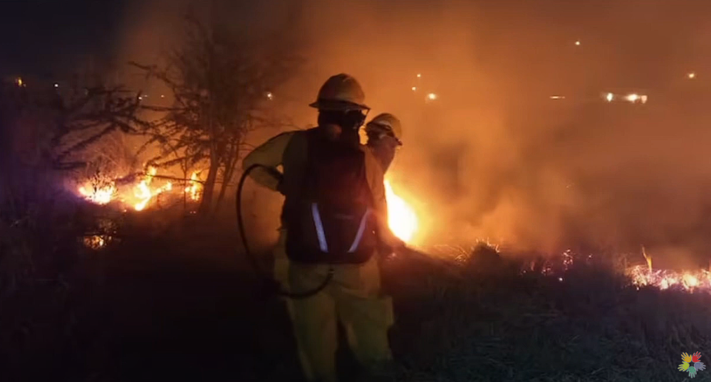 Identifican y arrestan a los responsables del incendio en la zona de Ecovia