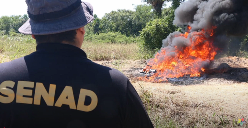 Senad incineró más de 13 millones de dólares en drogas