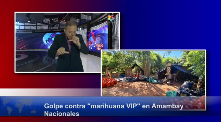 Desmantelan complejo de procesamiento de “marihuana VIP” en Amambay