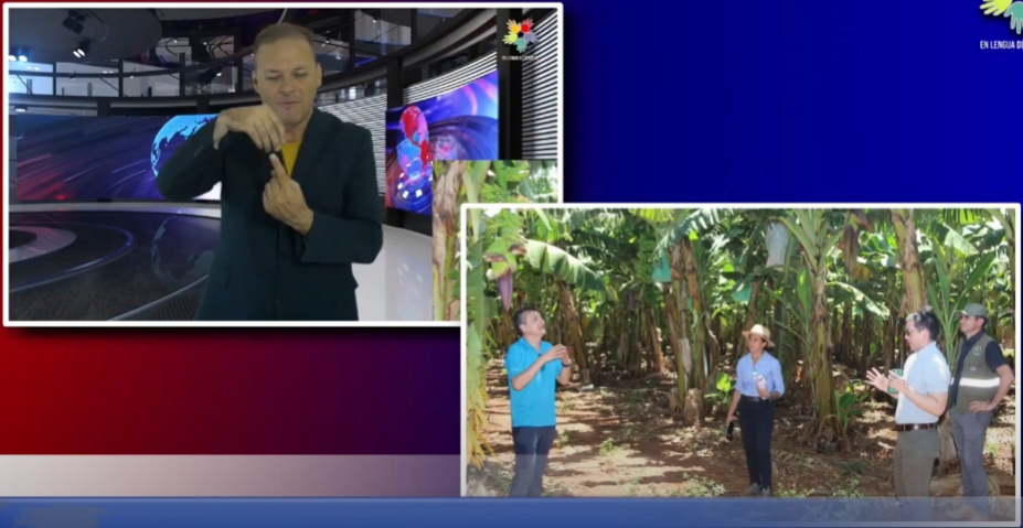 Impulsan simulacro internacional para enfrentar el Fusarium Raza 4 Tropical en Paraguay