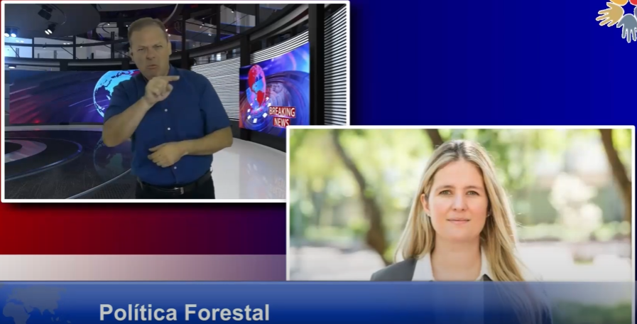 Política Forestal: “La Fiscalía podría llegar a pedir incluso penas privativas de libertad”