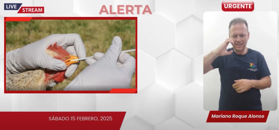 SENACSA emite alerta sanitaria por casos de influenza aviar en Argentina.