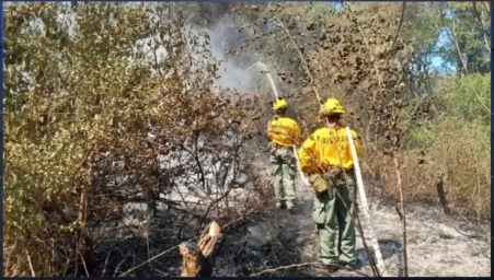 Bomberos combatieron gran incendio en zona de humedales del lago Ypacaraí.