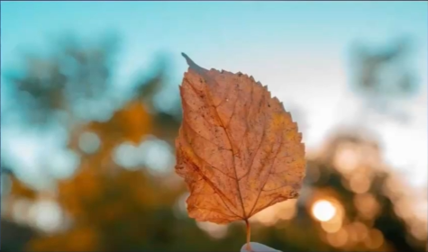 El verano se despidió la semana pasada dando lugar al otoño