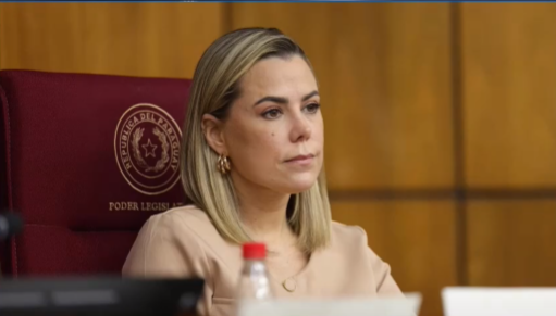 Protección a la niñez: Senado analizará proyecto de ley contra el criadazgo