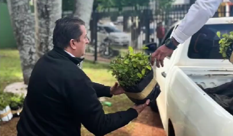 MADES entregó 10.000 plantines de lapacho a la Gobernación de Caaguazú