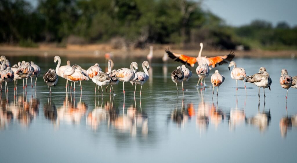 Registur y Digitalia: tecnología para modernizar el turismo nacional