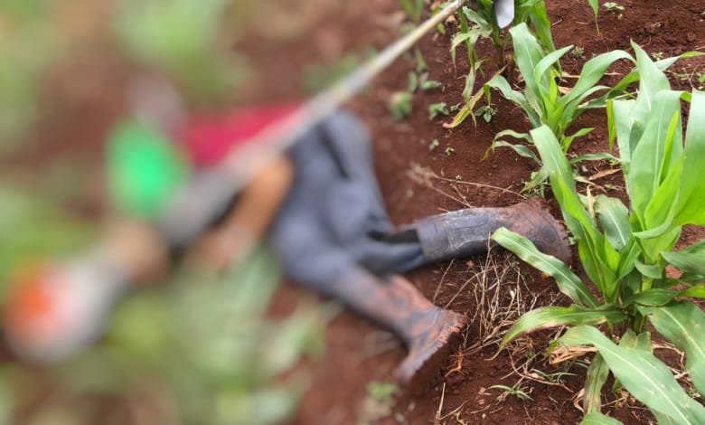 Investigación en curso tras un hecho violento en Itapúa – Paraguay