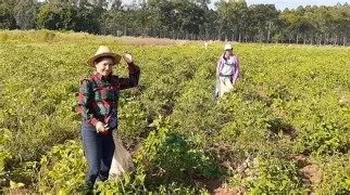 Paraguay será el epicentro del agro femenino en LatinoAmérica