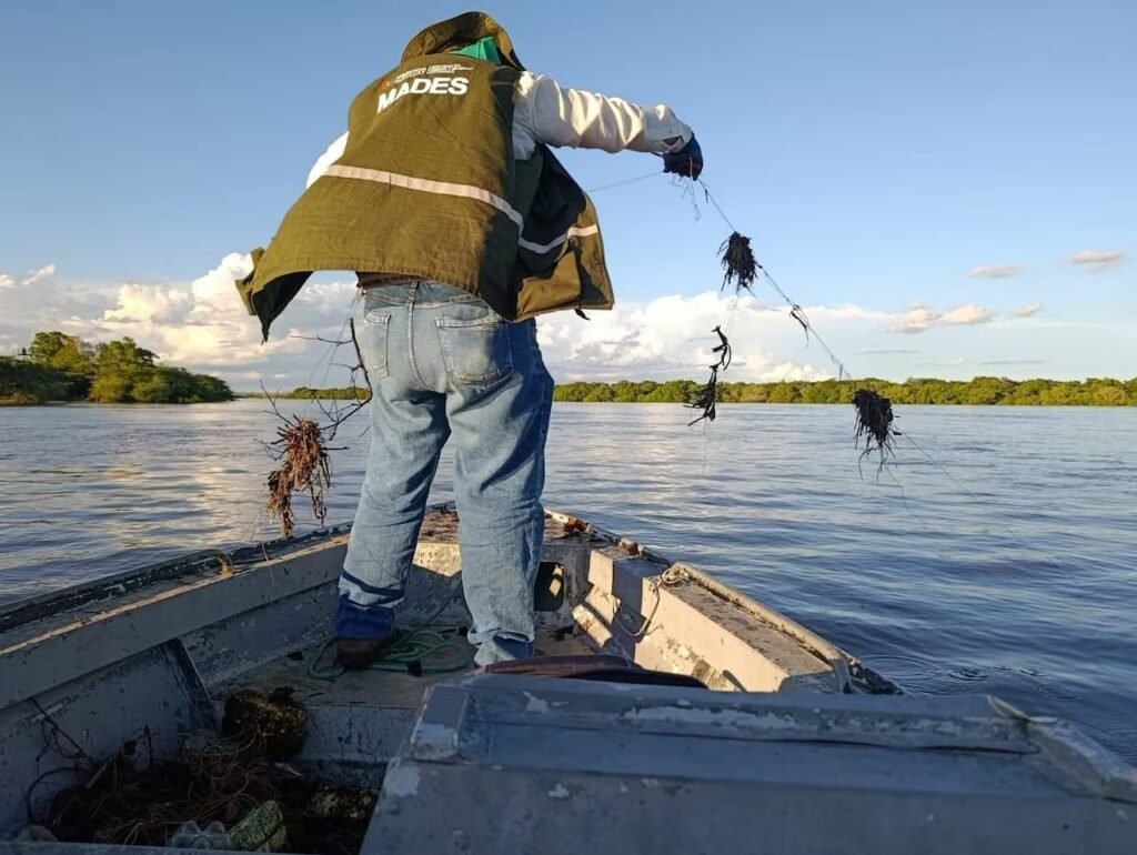 40 KM DE REDES ILEGALES en Paraguay