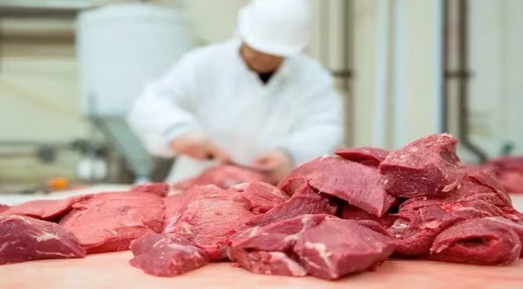 🥩 Economía: Precio de la Carne