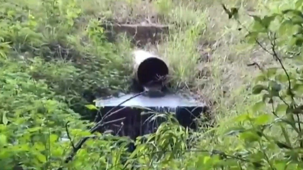 Contaminación del arroyo Paso Naranja