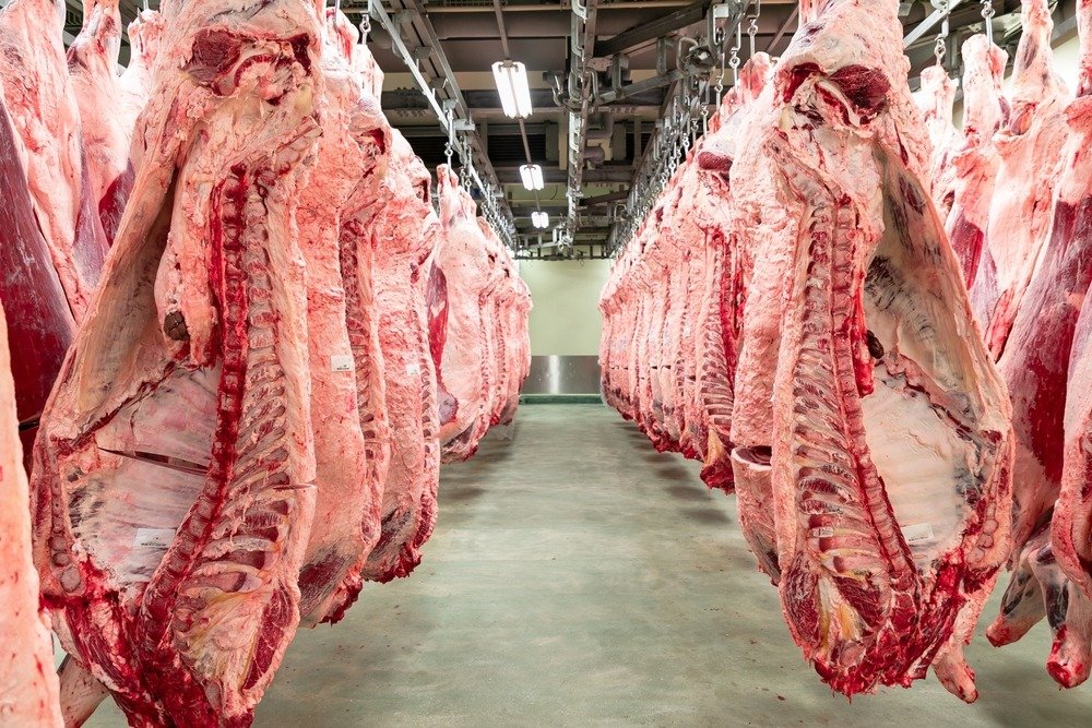 Precios internacionales de la carne impactan en el consumidor