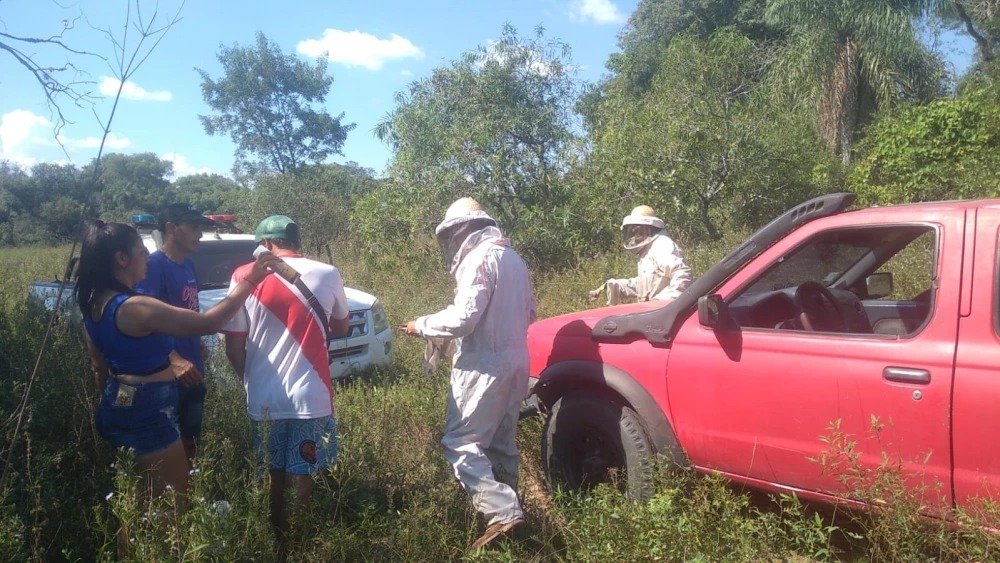 🐝 Tragedia en Ñeembucú. Hombre de 44 años muere tras ataque de abejas
