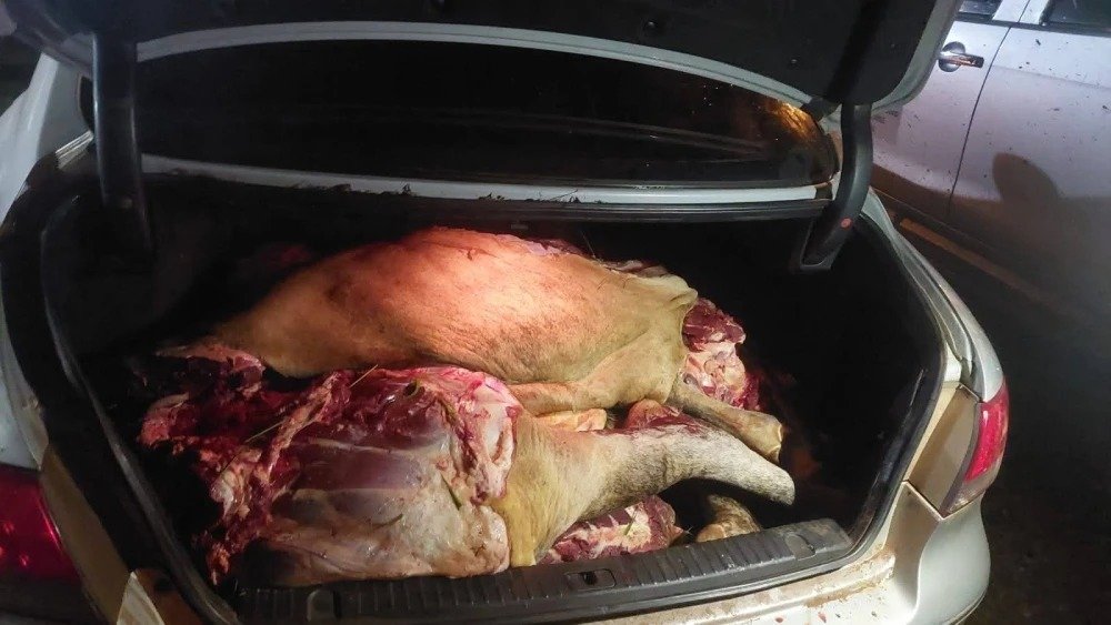 Incautan más de 200 kilos de carne en Canindeyú