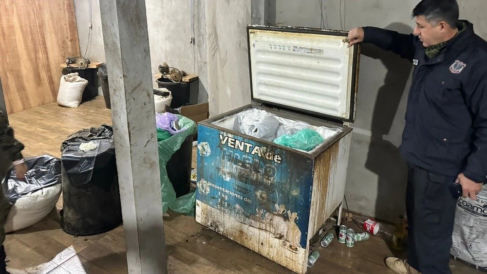 🚔 Desmantelan laboratorio de marihuana en Capitán Bado