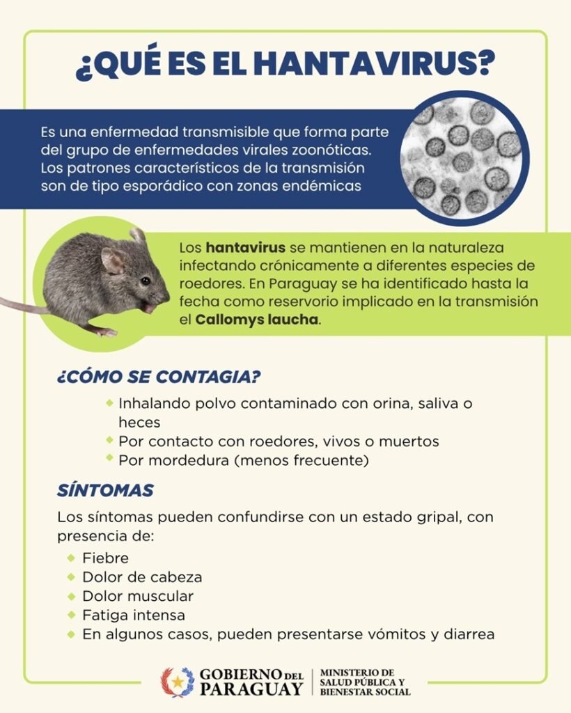 El Ministerio de Salud Pública confirmó tres casos de hantavirus en Paraguay en lo que va de 2026.
