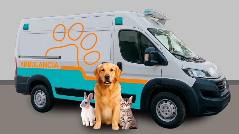 Ambulancia para animales