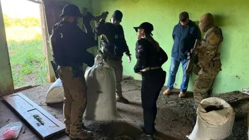 Senad destruye 14 toneladas de marihuana en Amambay