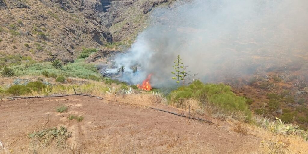 Incendio en Masca: detenido el presunto autor